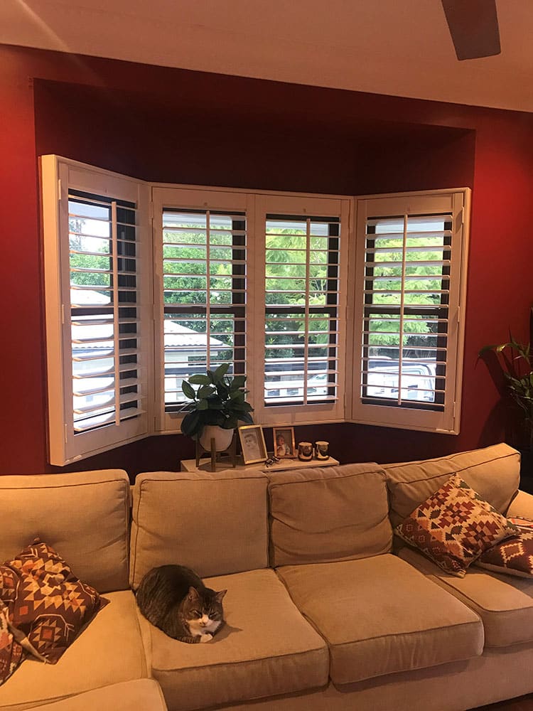 Elegant Shutters in Living Room — Premium Window Coverings In Chevallum, QLD